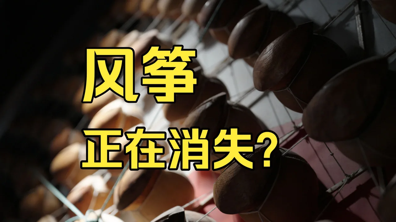 宣传片《你真的了解风筝吗？》封面